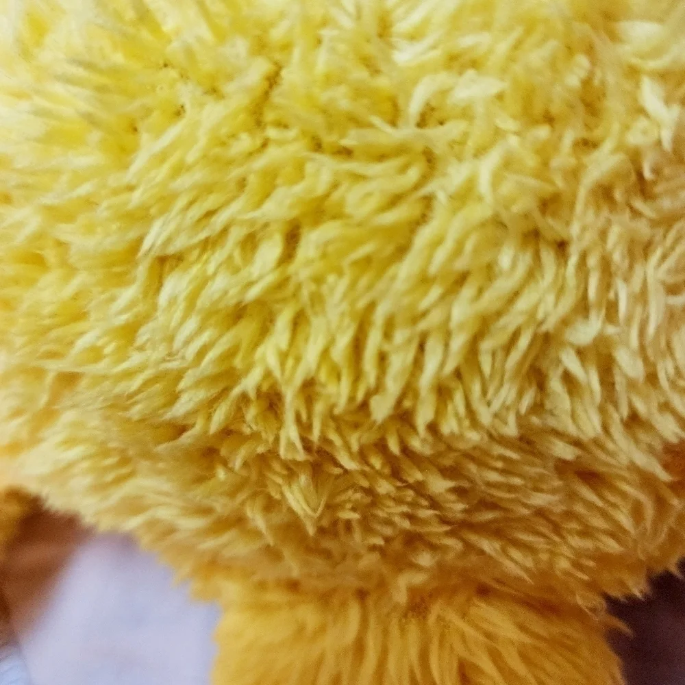 Kohl's Cares 2017 Big Bird Plush Stuffed Animal 14